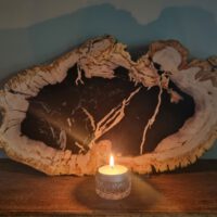 Versteend hout - Afbeelding 7