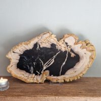 Vesteend hout