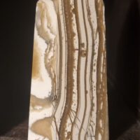 zebracalciet